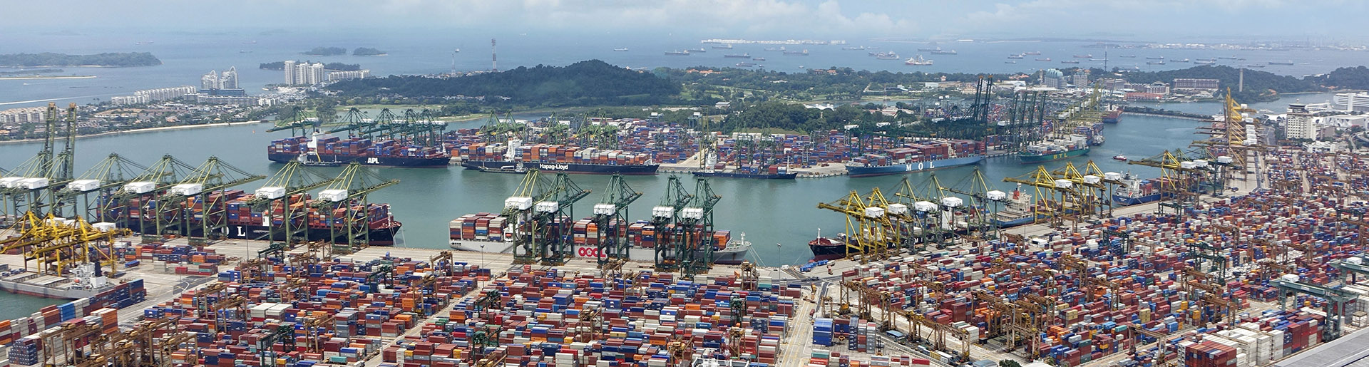 正规beat365体育官网