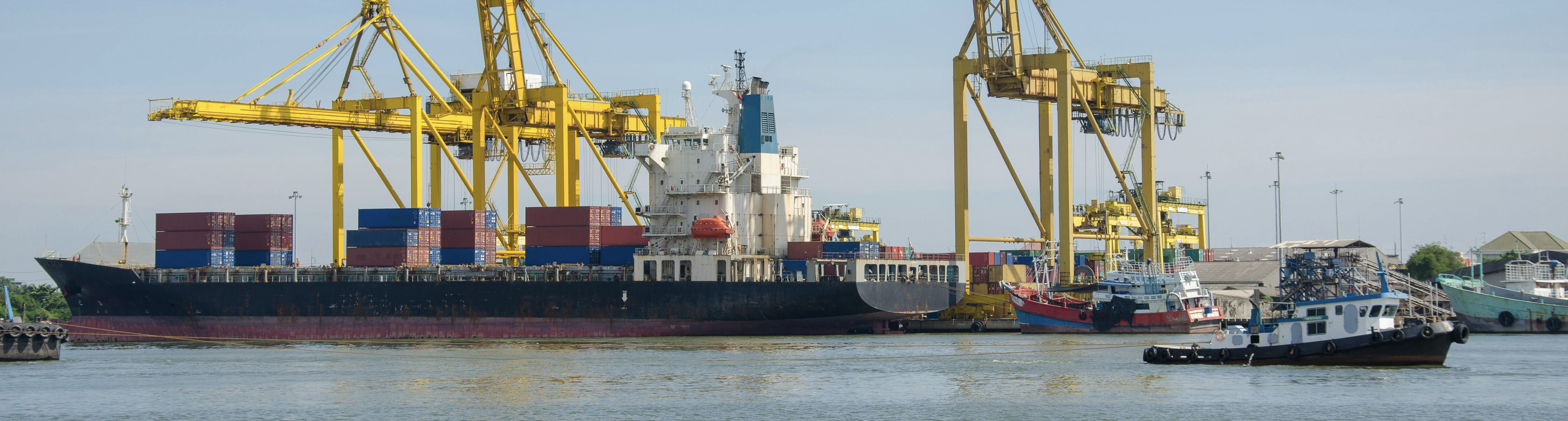 正规beat365体育官网