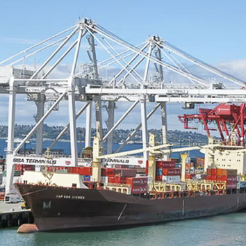 正规beat365体育官网